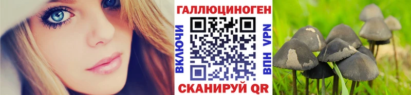 блэк спрут зеркало наркота Сенгилей Псилоцибиновые грибы Psilocybine cubensis